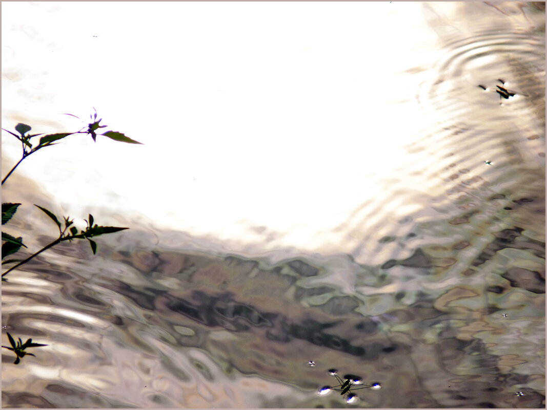 Беззвучное скольжение по перламутровой реке... - Наталья Rosenwasser Беззвучное скольжение по перламутровой реке... - Наталья Rosenwasser