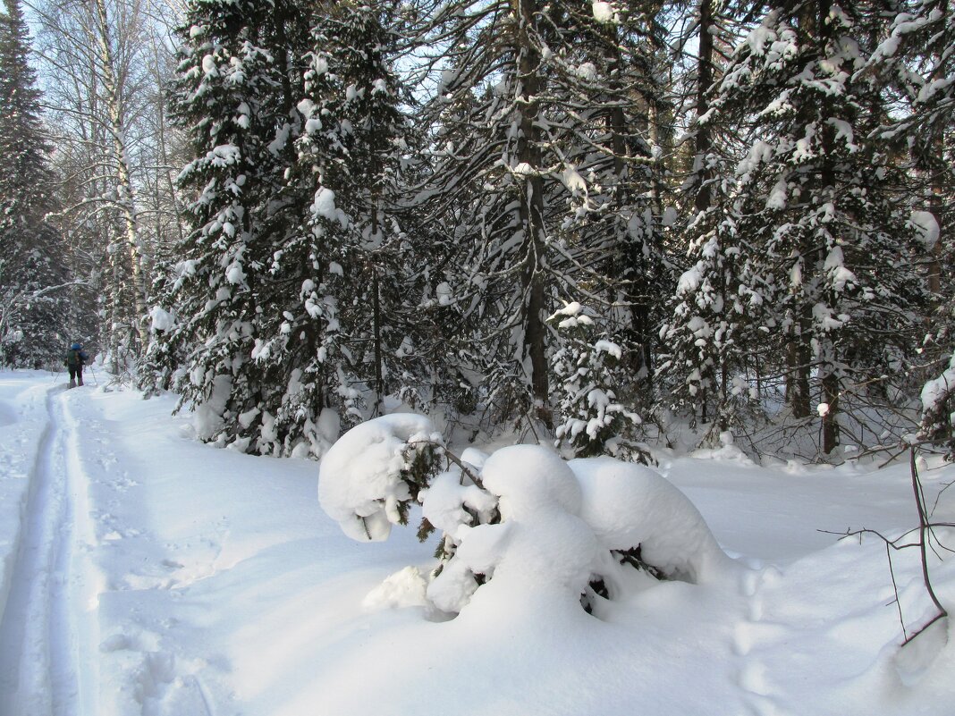 * - Galaelina *** * - Galaelina ***