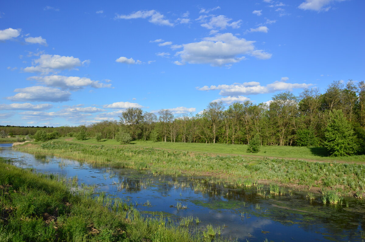 У реки. - Виктор 