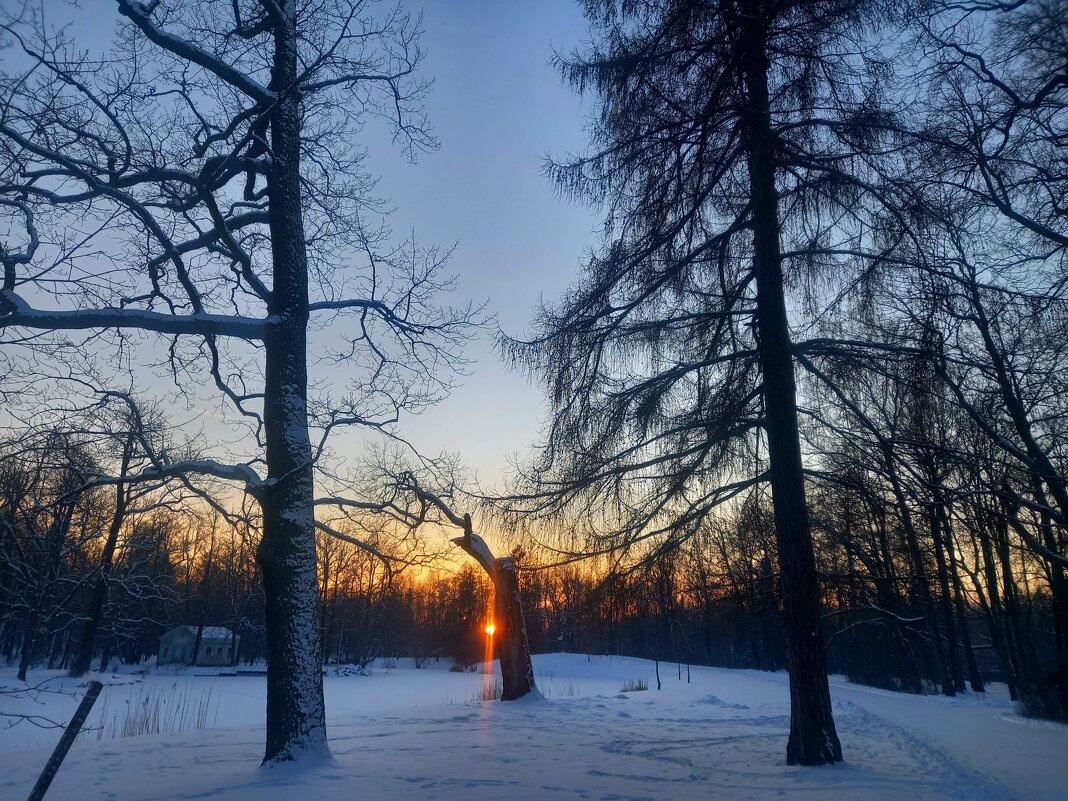 Закат - Сапсан 