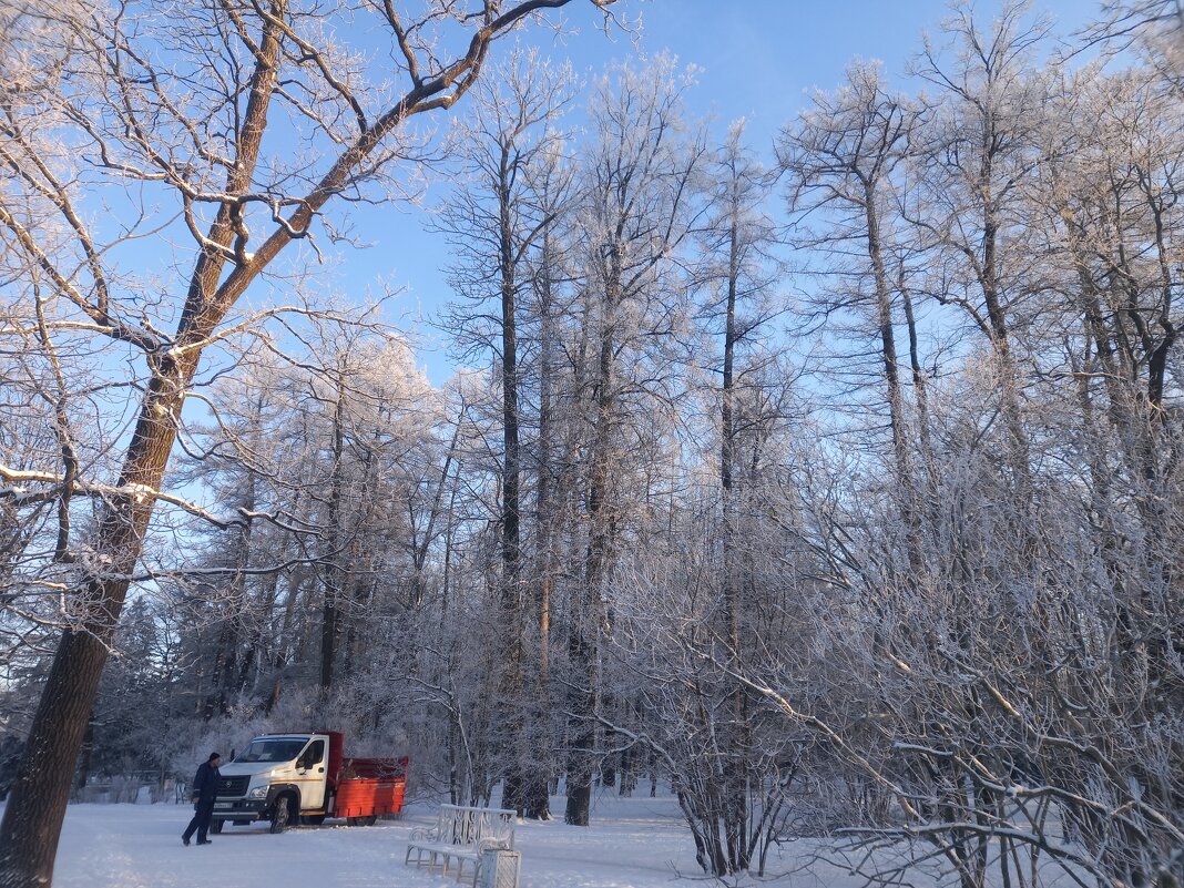 Иней - Сапсан 