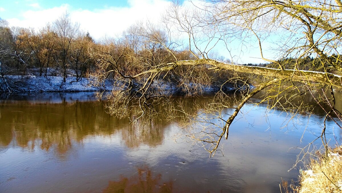 О Днепре (репортаж из поездок по области). - Милешкин Владимир Алексеевич 