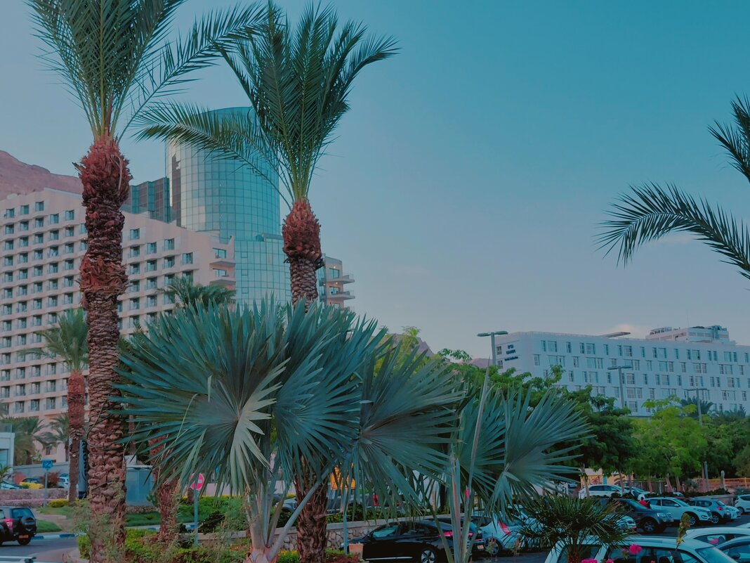 109 (71) - СТРЕН 