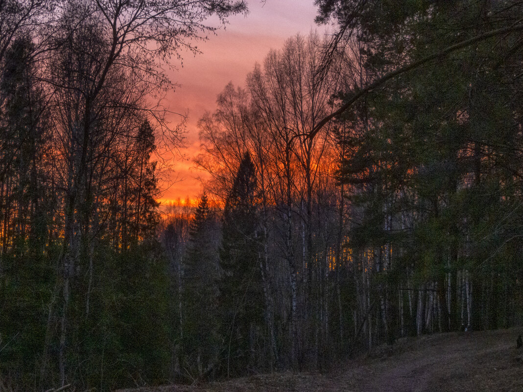 Поздним вечером - Сергей Цветков