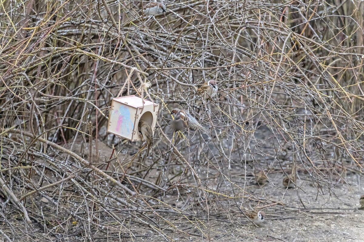 Очередь - Валерий Иванович Очередь - Валерий Иванович