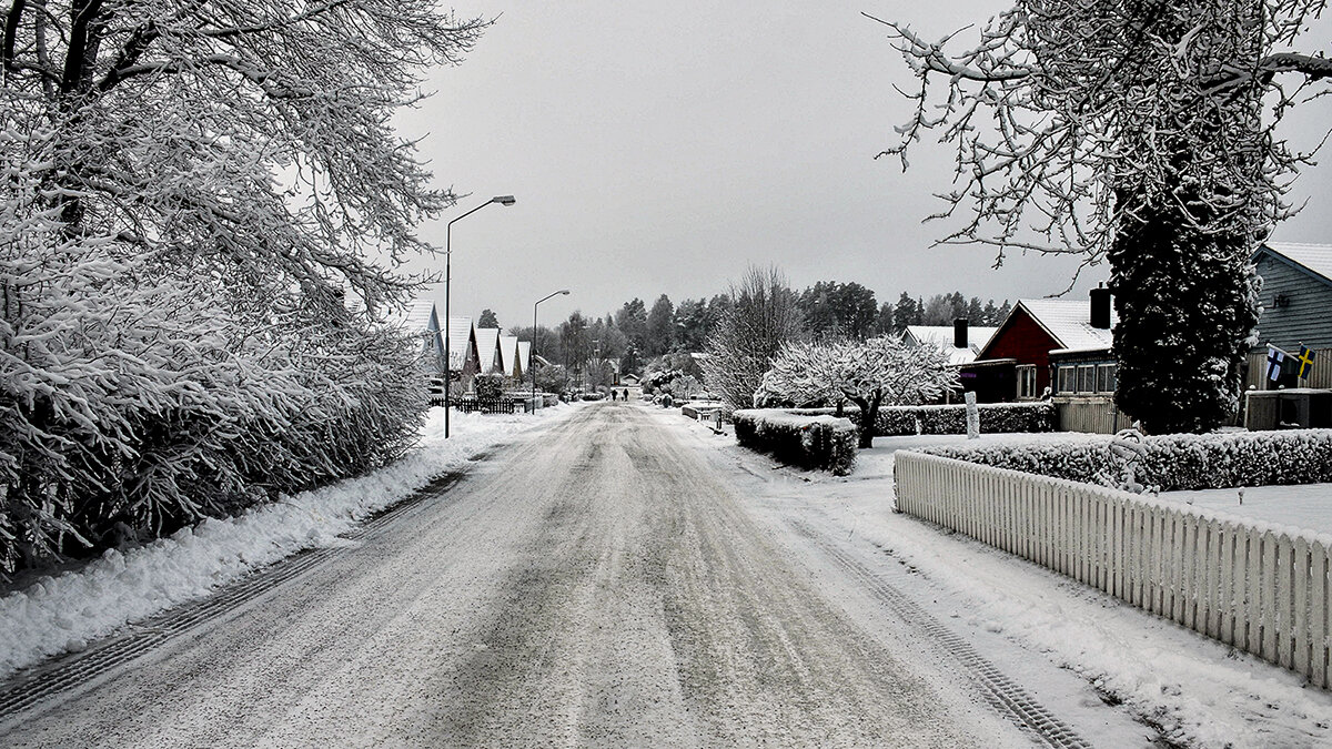 Уходящие вдаль - Alexandеr P