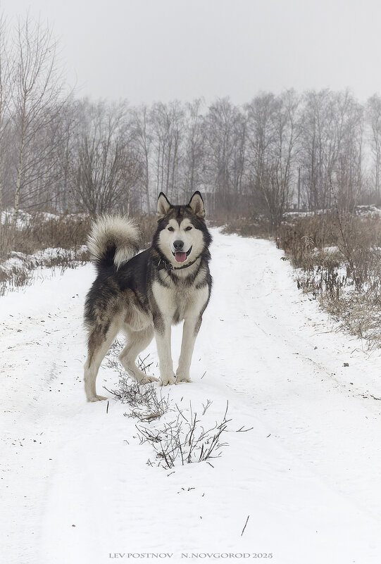 Ярик. - leff Postnov Ярик. - leff Postnov