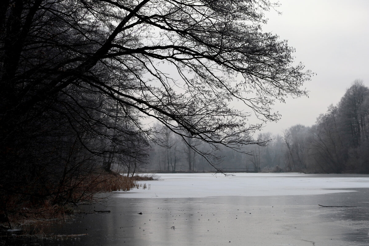 Река во льду - Dar(k) Life Река во льду - Dar(k) Life