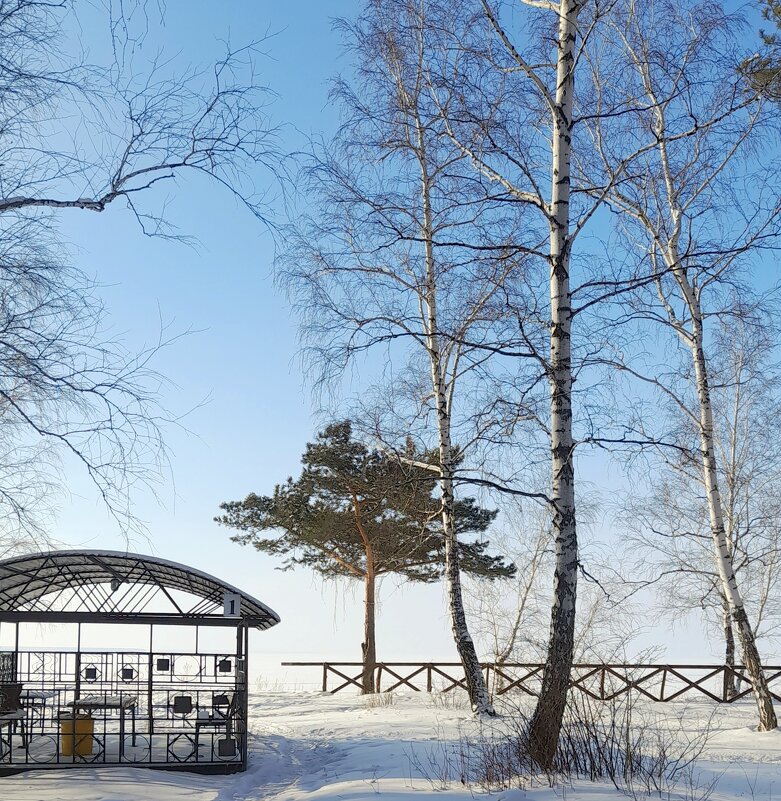 На берегу . - Мила Бовкун На берегу . - Мила Бовкун