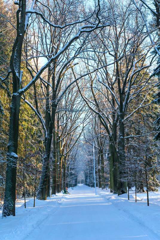 В парке - vladimir Б