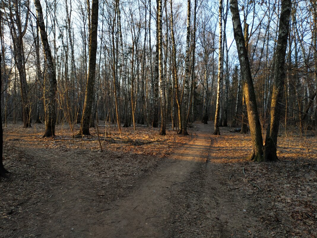 Как зиму ни снимай, получается ноябрь - Андрей Лукьянов