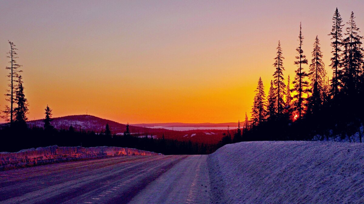 Солнечное утро - Сергей Швечков Солнечное утро - Сергей Швечков