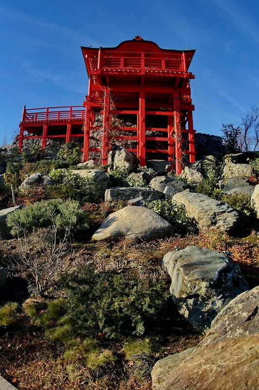 " Японский сад " парк Краснодар или Галицкого... - Николай Саржанов " Японский сад " парк Краснодар или Галицкого... - Николай Саржанов