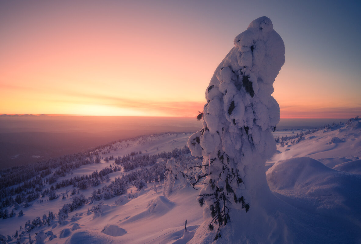 * - Александр Иванов * - Александр Иванов