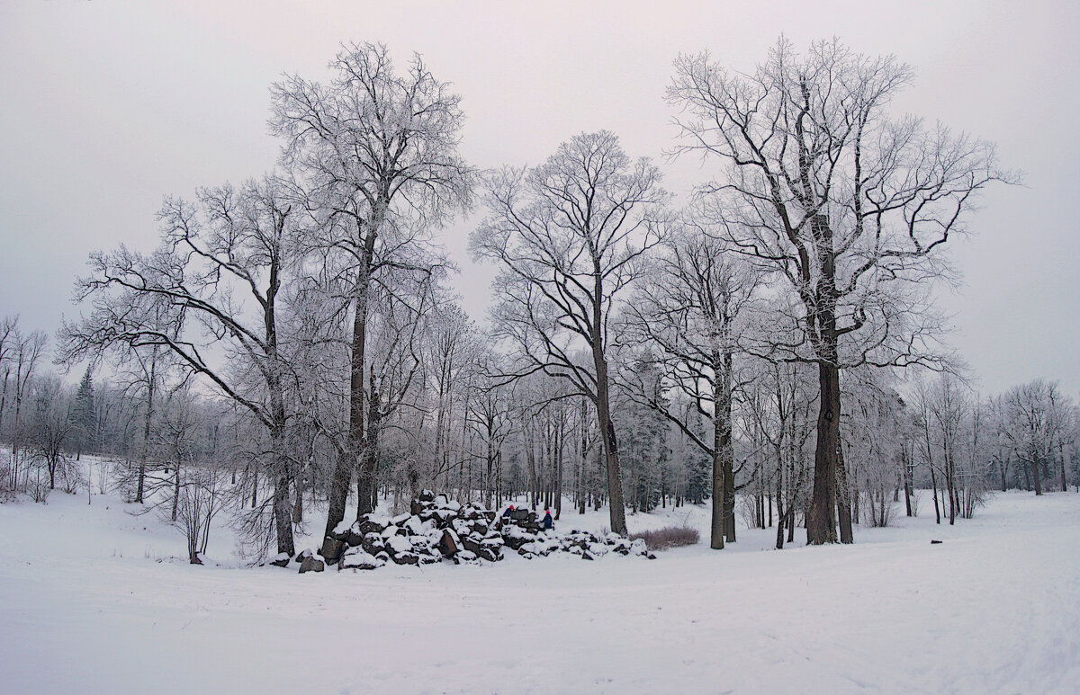 *** - Сергей Григорьев