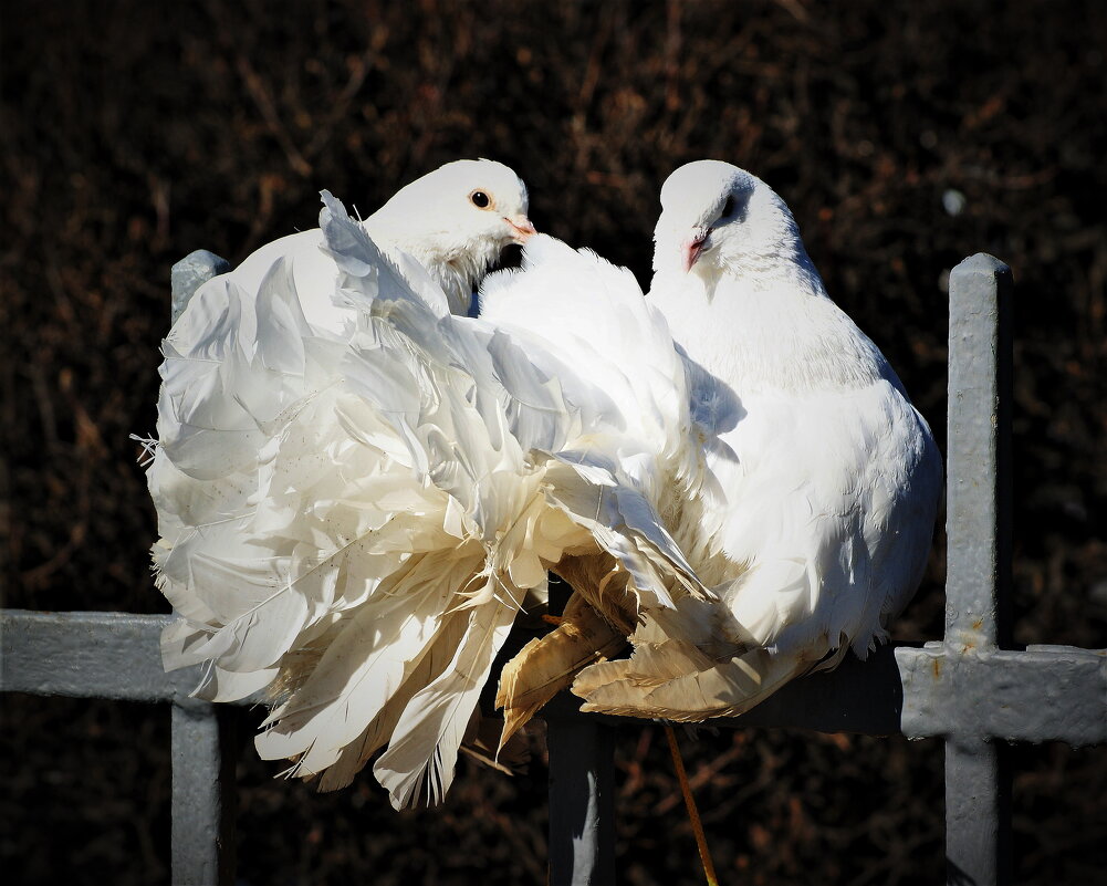 /// - Виктор Никитенко