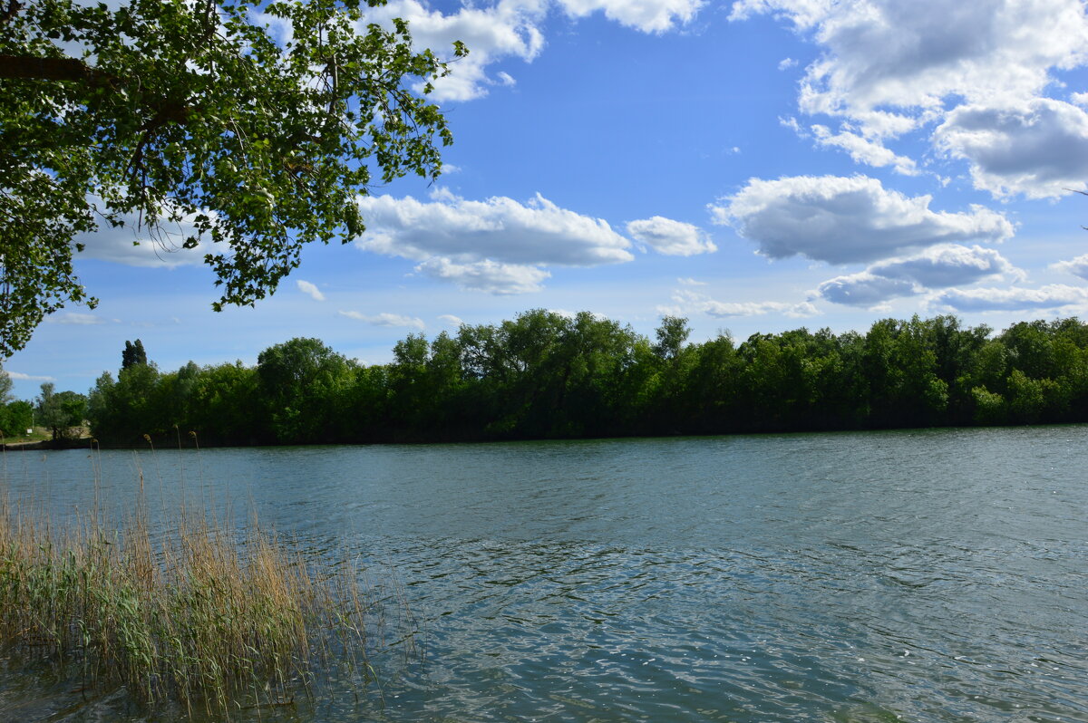 У реки. - Виктор 