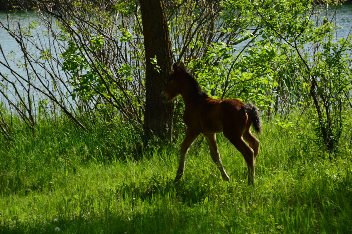 Малыш первая Весна. - Виктор 