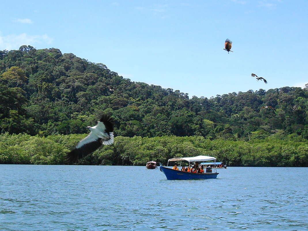 Малайзия, Лангкави - остров орлов - svk * Малайзия, Лангкави - остров орлов - svk *