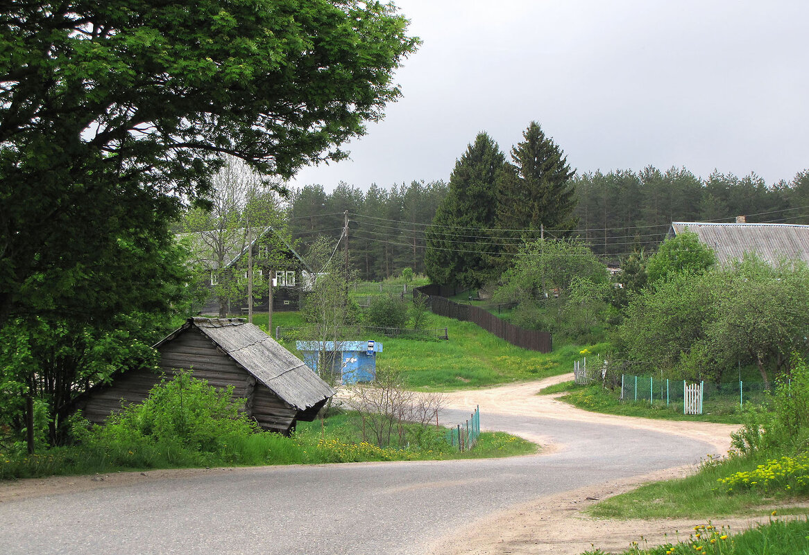 Деревня Нурмолицы - Александр Ильчевский Деревня Нурмолицы - Александр Ильчевский