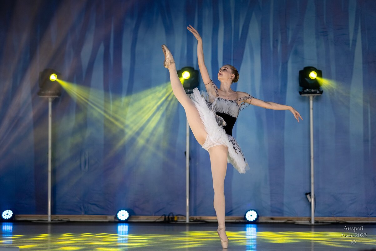 Ростовский колледж искусств - Андрей Lyz