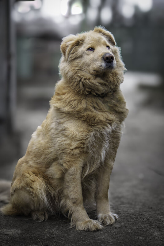 Малыш - Сергей К. 