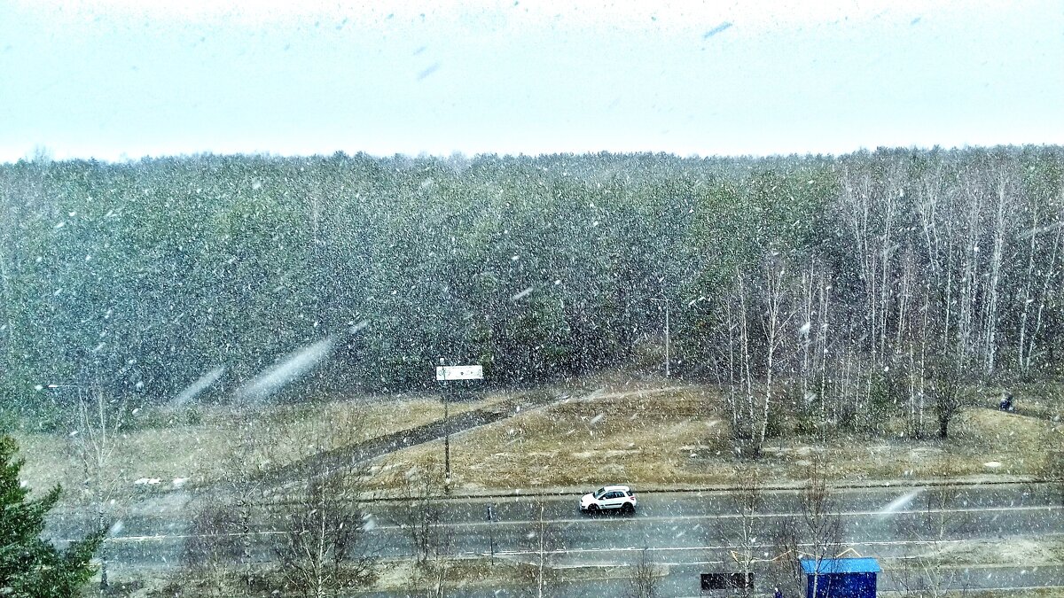 снегопад - Владимир снегопад - Владимир