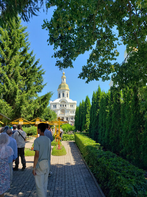 Дивеево - Дмитрий Swan Дивеево - Дмитрий Swan