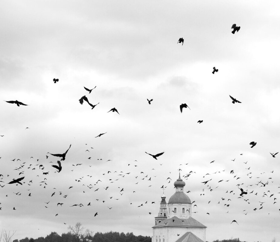 Кружат и кружат вороны над древней Суздальской землей - Вячеслав Владимирович Кружат и кружат вороны над древней Суздальской землей - Вячеслав Владимирович