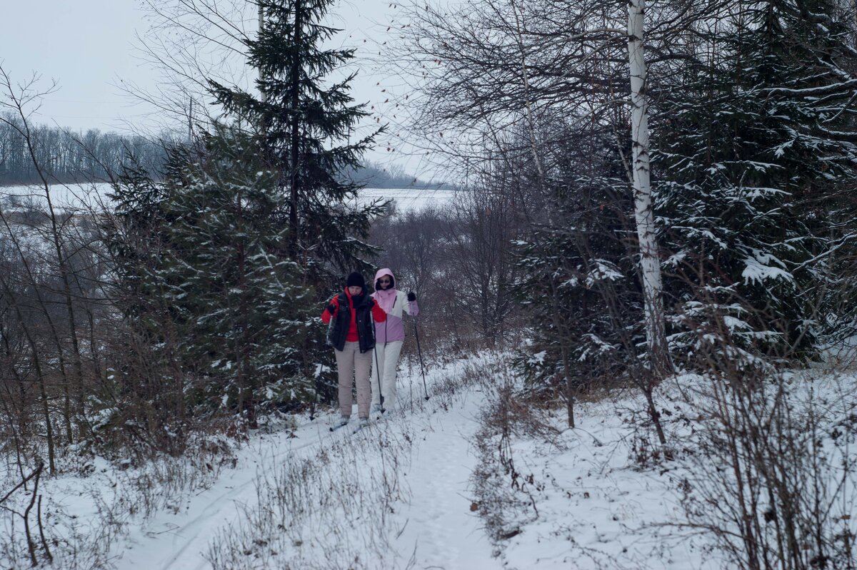Семейная лыжная прогулка - Дмитрий Ряховский