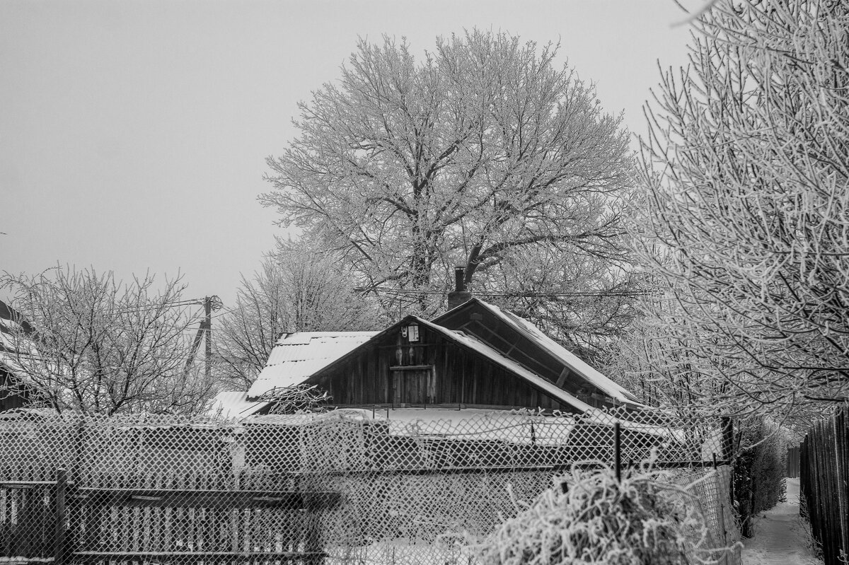 Вот и дождались зимних пейзажей - Дмитрий Ряховский Вот и дождались зимних пейзажей - Дмитрий Ряховский