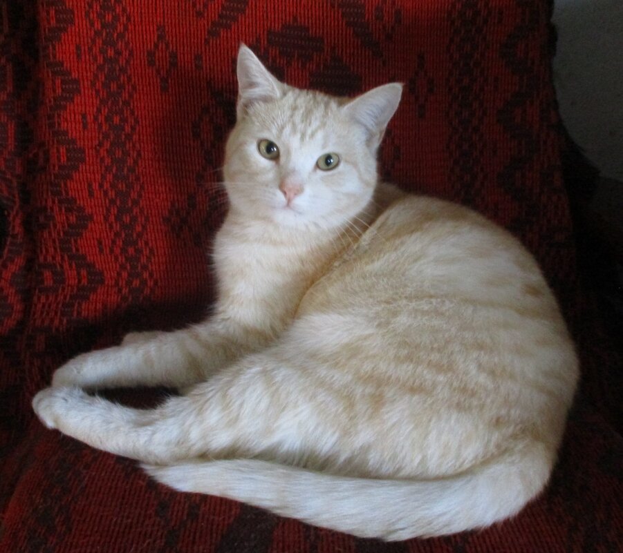 Митрофан - Татьяна Иваненкова