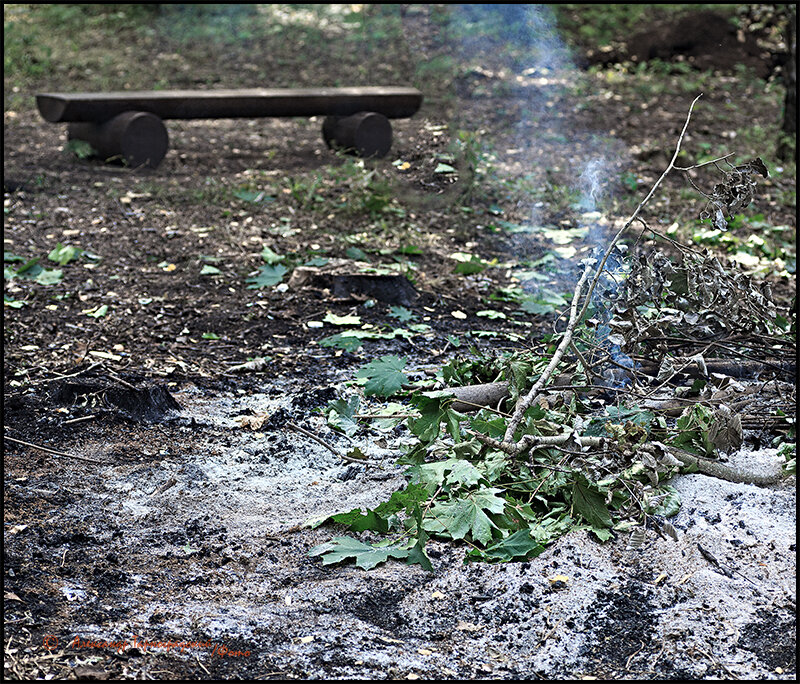 Листья жгут - Александр Тарноградский