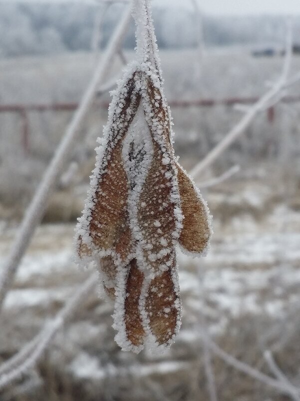 ... - Наталия Кольцова