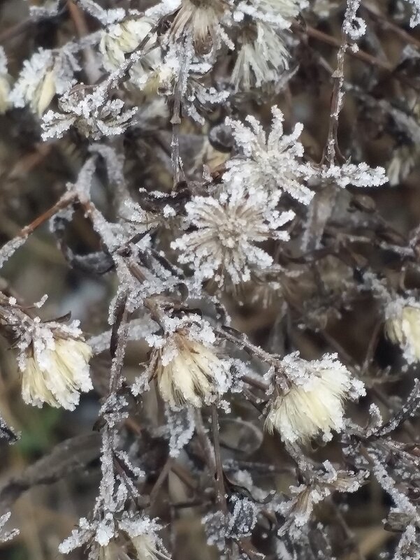 ... - Наталия Кольцова