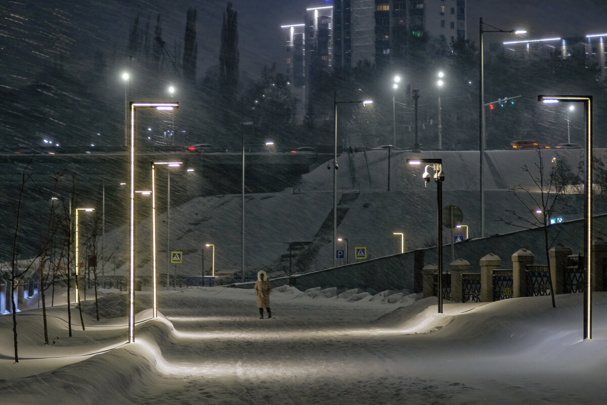 Метель... - Сергей Шатохин 