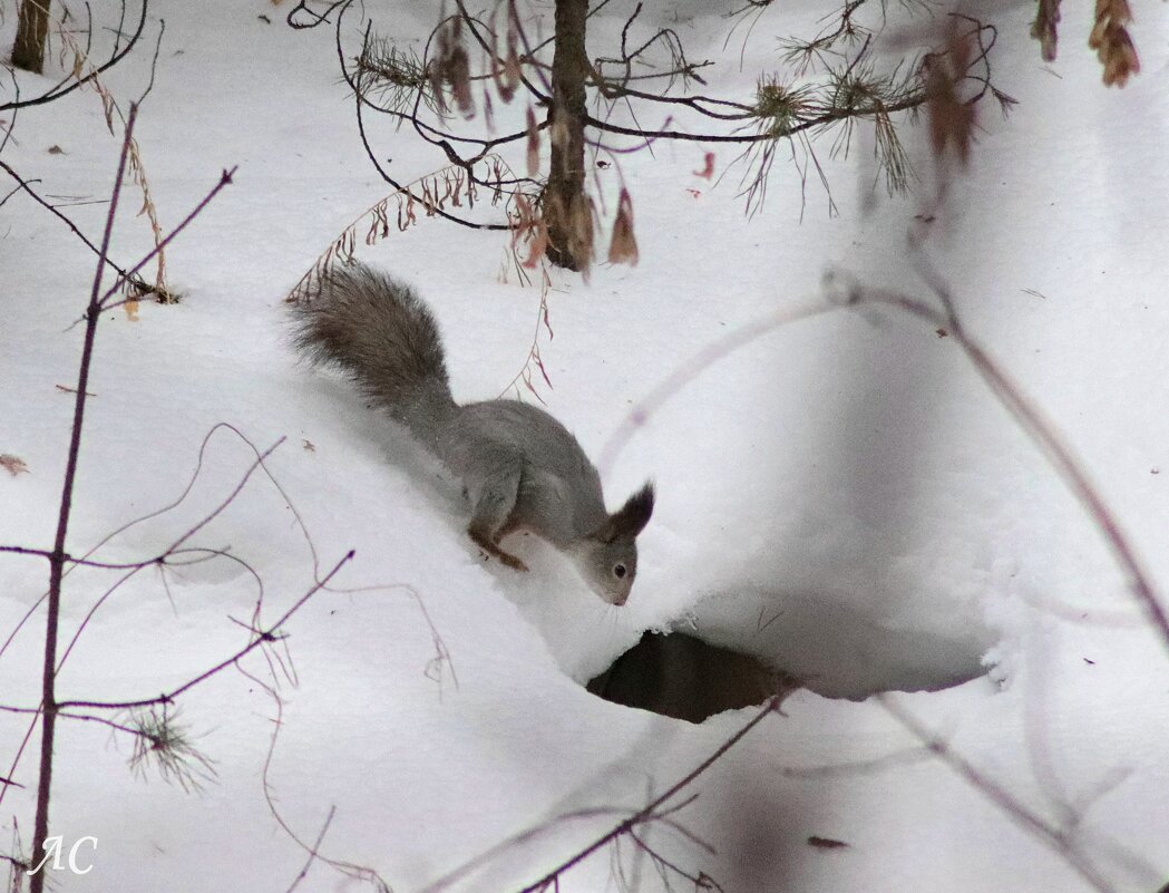 Интересно, а что там? - Любовь Сахарова Интересно, а что там? - Любовь Сахарова