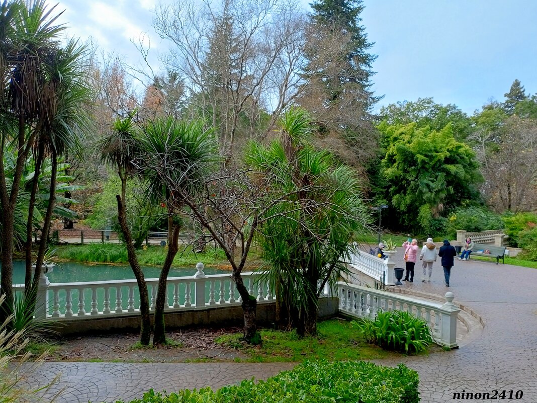 Адлер. Дендропарк "Южные культуры" - Нина Бутко Адлер. Дендропарк "Южные культуры" - Нина Бутко