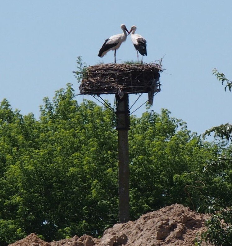 - Ура! У нас получилось! - Евгений - Ура! У нас получилось! - Евгений