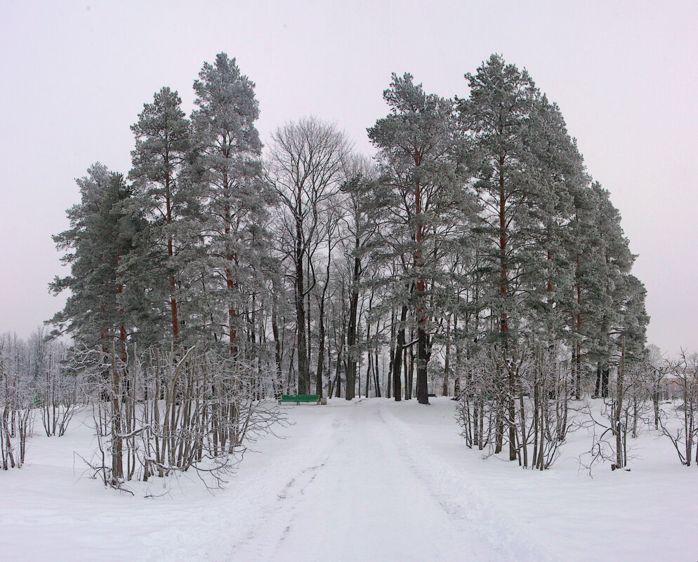 *** - Сергей Григорьев