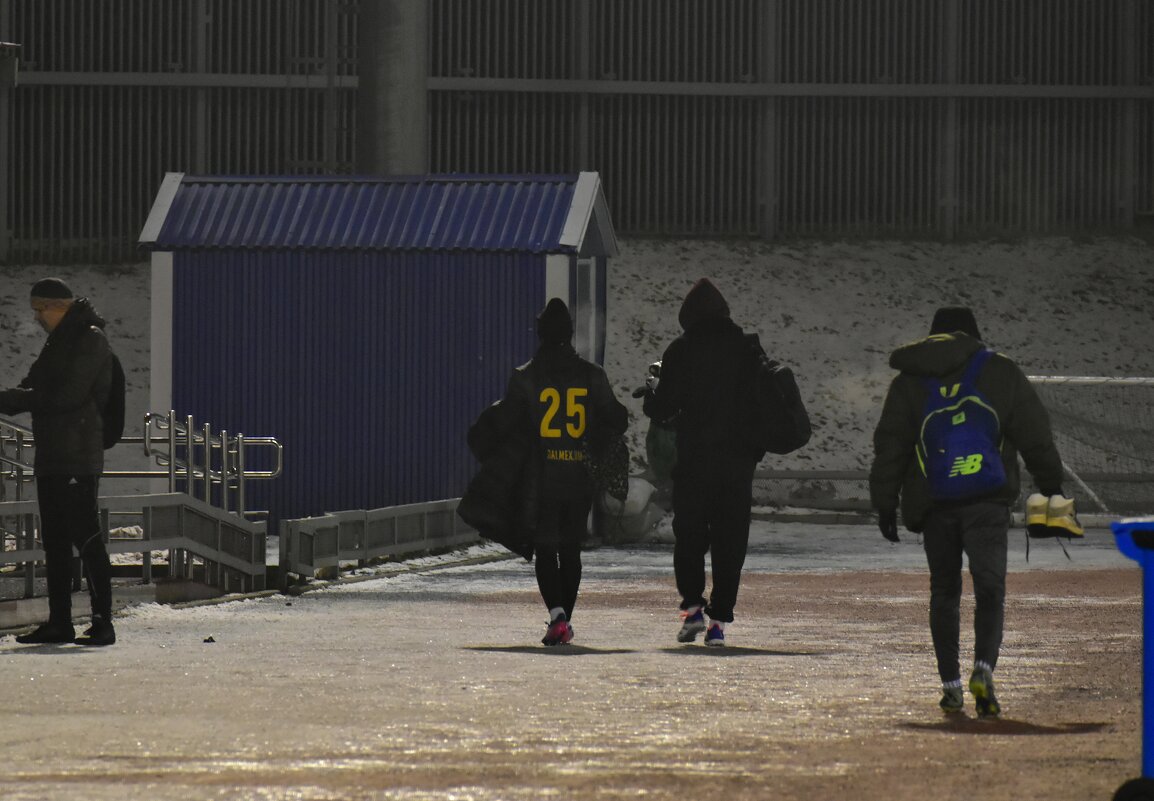 Игра окончена. - Наталья Вязигина