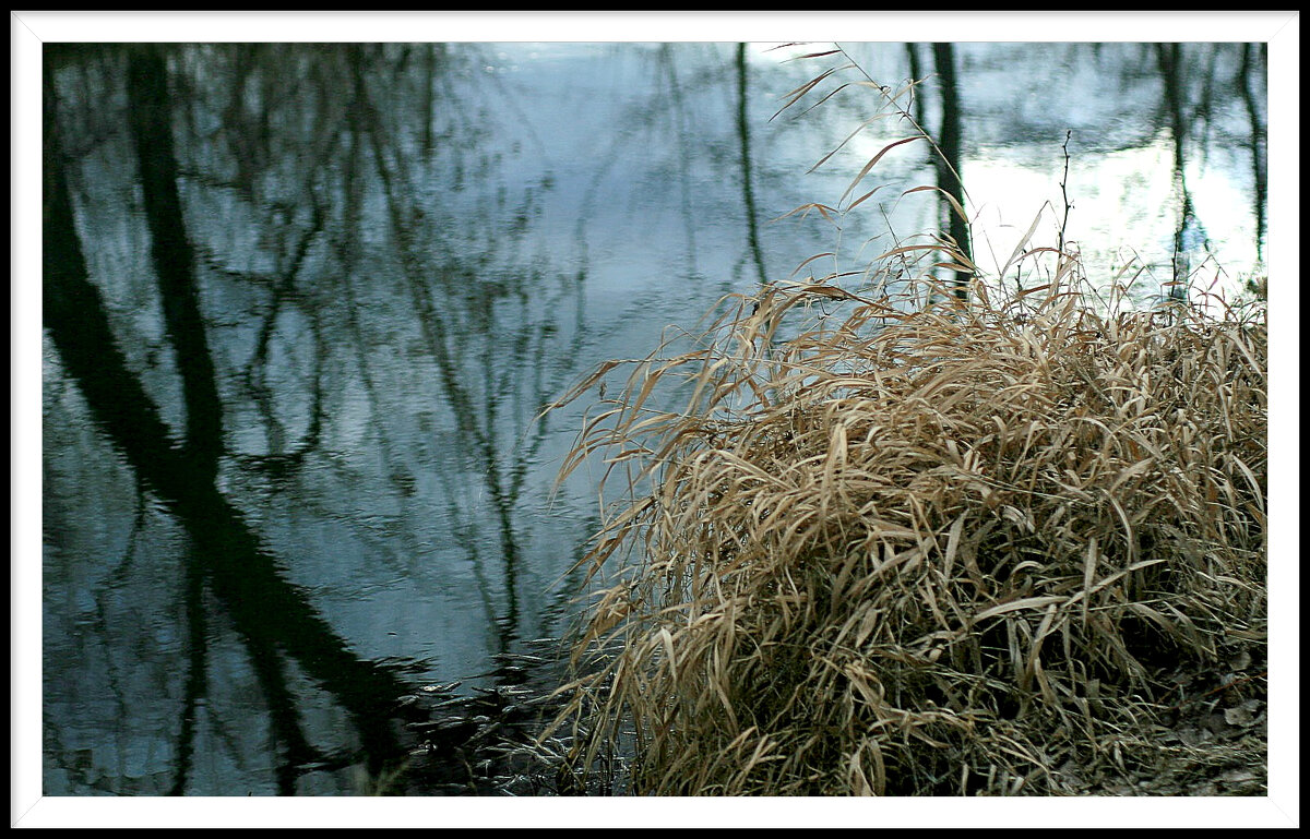 5 - Гонорий Голопупенко