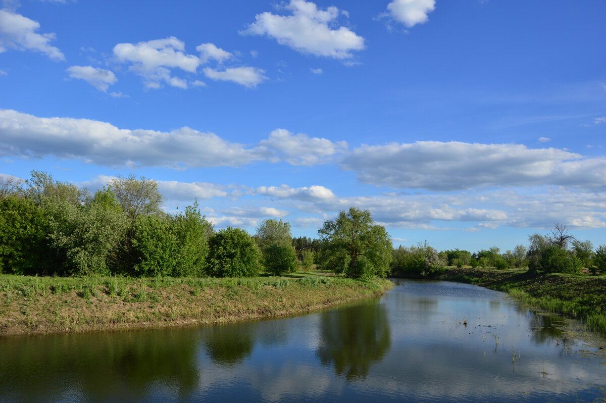 Местная река. - Виктор 