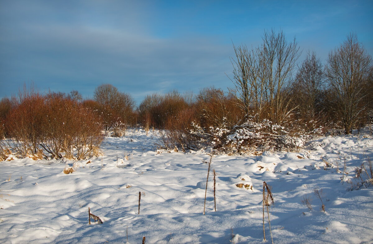Февраль - lady v.ekaterina Февраль - lady v.ekaterina
