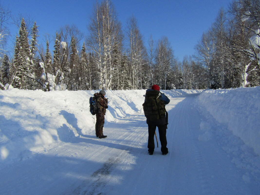 Зимняя дорога... - Galaelina *** Зимняя дорога... - Galaelina ***