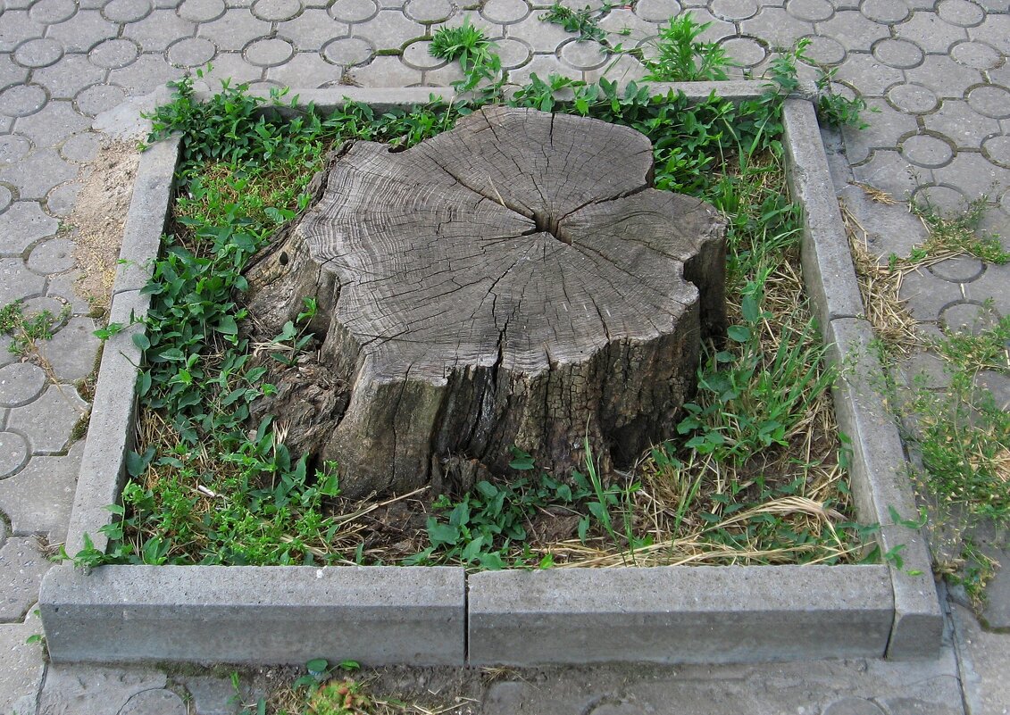 . - Александр Хоменко