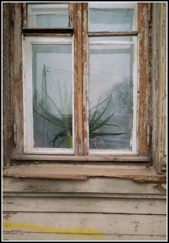 *** - Любовь *** - Любовь