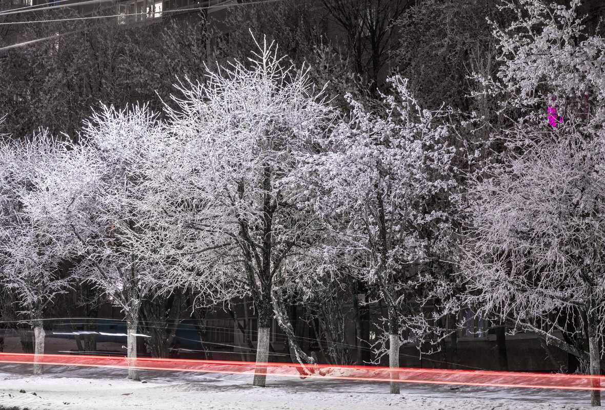 Болид - Игорь Николаев