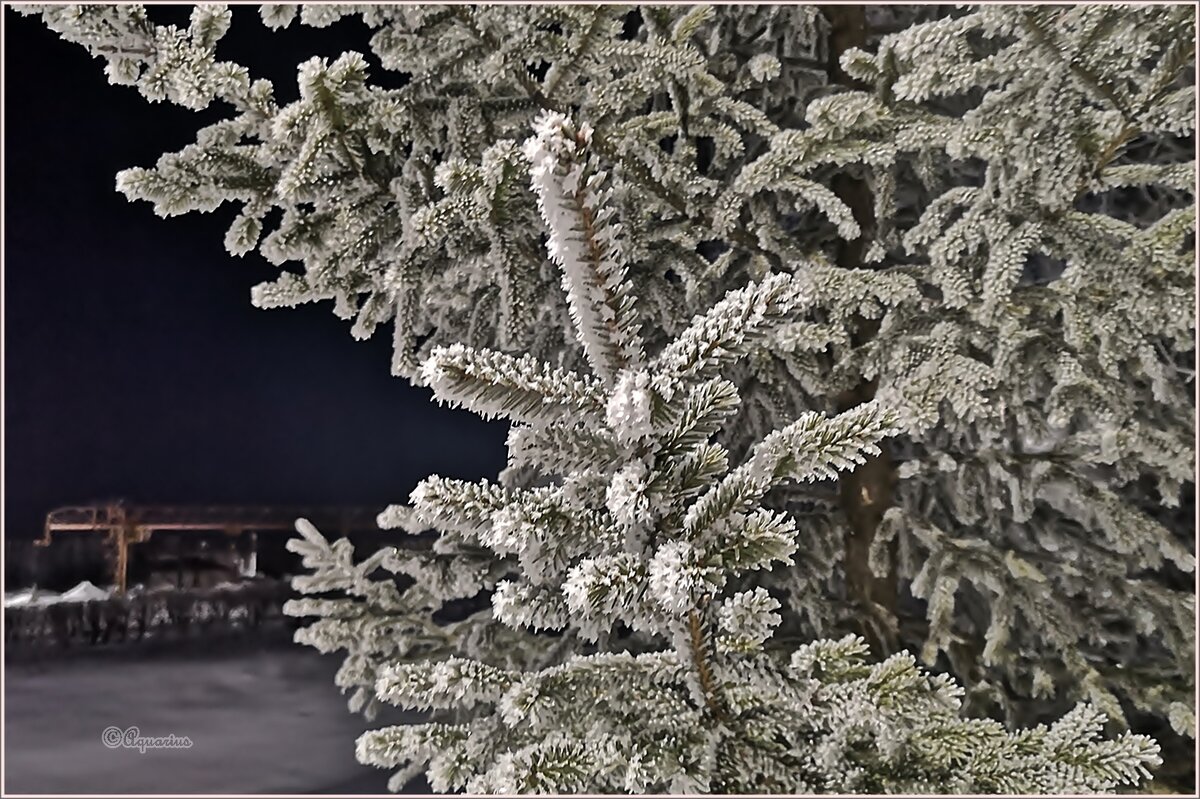 Февральское утро - Aquarius - Сергей Февральское утро - Aquarius - Сергей