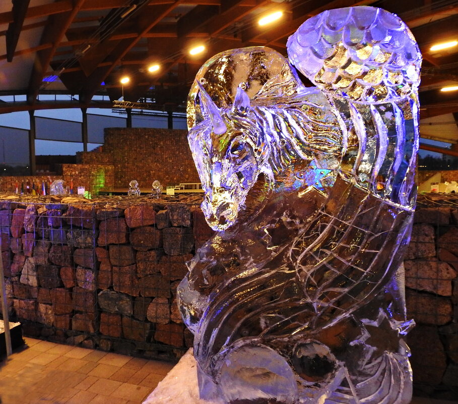 ледовый фестиваль - ИННА ПОРОХОВА